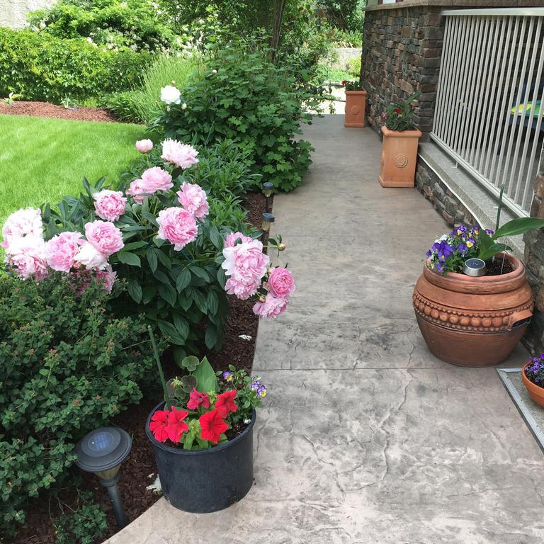 一日梦住宿加早餐酒店 皮奇兰 外观 照片
